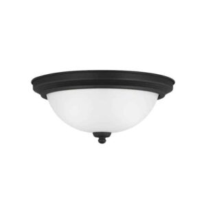 Midnight Black Flush Mount 2-Bulb Kitchen Light | 77064-112