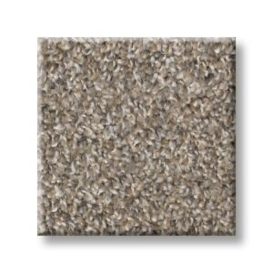Nutria 00102 | Accent Cape Canaveral