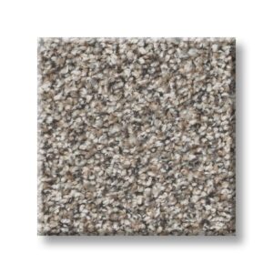 Mushroom 00111 | Accent Cape Canaveral