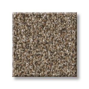 Mocha Latte 00705 | Accent Cape Canaveral