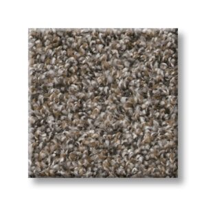 Tree Bark 00706 | Accent Cape Canaveral